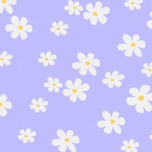 Meet your Posher, Lynn